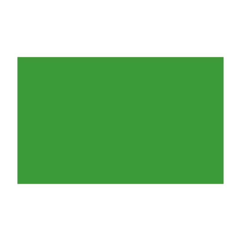 BD Fonds De Studio`Fonds Papier Bd 2,18M-FOND STUDIO PAPIER 2.18X11M VERI GREEN - Panajou