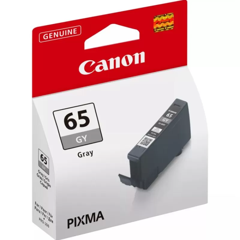 Canon Cartouches D'Encre-CLI-65GY GRIS POUR PIXMA PRO-200