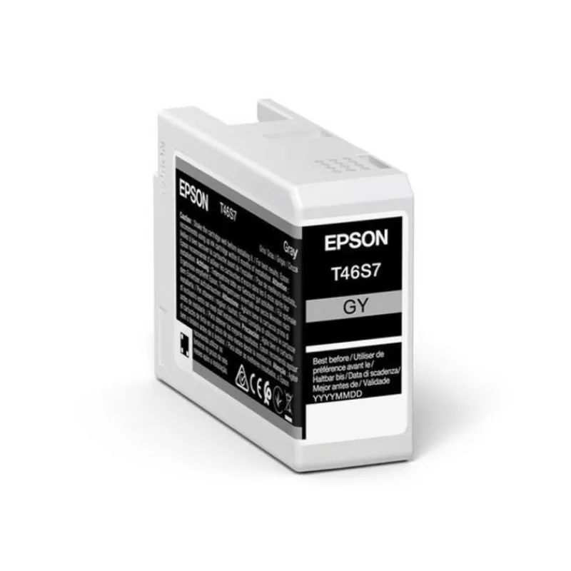 Epson Cartouches D'Encre-ENCRE T46S7 GRAY P700