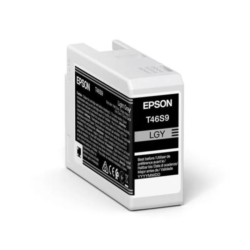 Epson Cartouches D'Encre-ENCRE T46S9 LIGHT GRAYP700