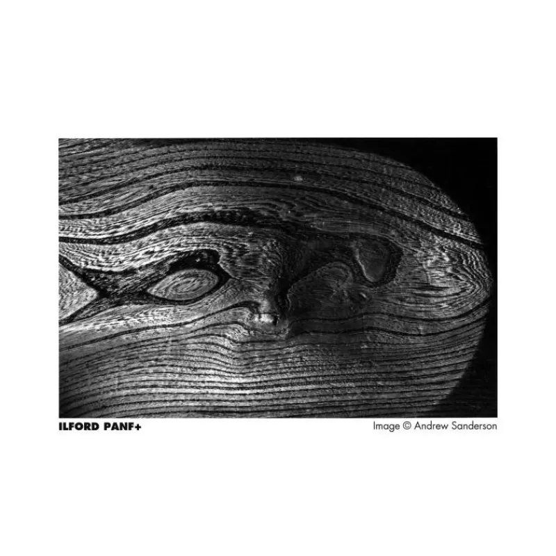 Ilford Négatifs Noir Et Blanc-PAN F 35mm (36 Poses) - Panajou