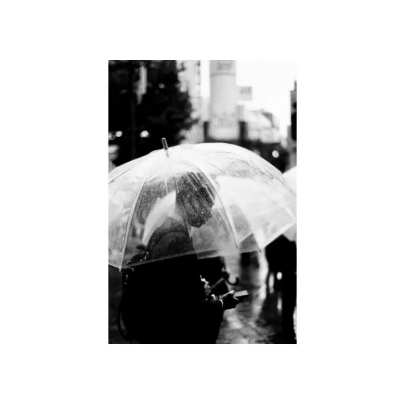 Lomography Négatifs Noir Et Blanc-Earl Grey film noir et blanc 100-3X36p