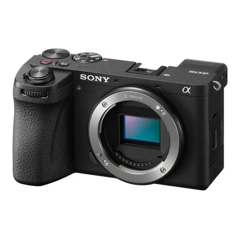 Sony Appareils Photo Hybrides-ALPHA 6700 + SEL 18-135 mm f/3,5-5,6 OSS